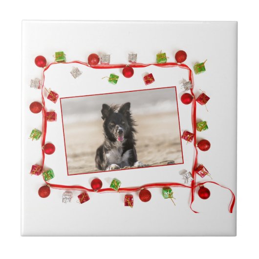 Border Collie Christmas Tegeltje (Voorkant)