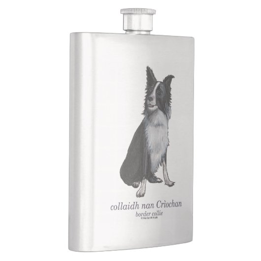 border collie - collaidh nan Crìochan Flacon (Rechts)