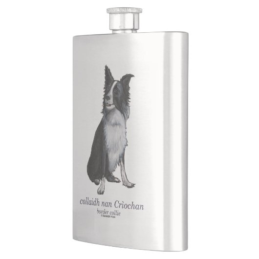 border collie - collaidh nan Crìochan Flacon (Links)