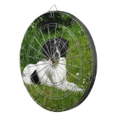 Border Collie Dartbord (Voorkant Rechts)