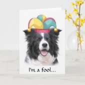 Border collie die de Dag van de Dwaas begroeten Kaart (Gele Bloem)