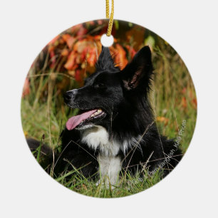 Border collie die het Bepalen hijgen Keramisch Ornament