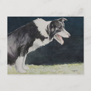 Border Collie Dog Art Briefkaart
