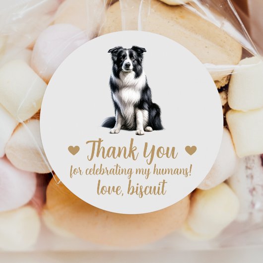 Border Collie Dog Bruiloft Favor Stickers