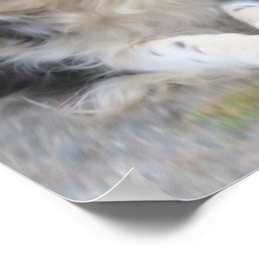 Border Collie Dog en Ball Poster (Hoek)