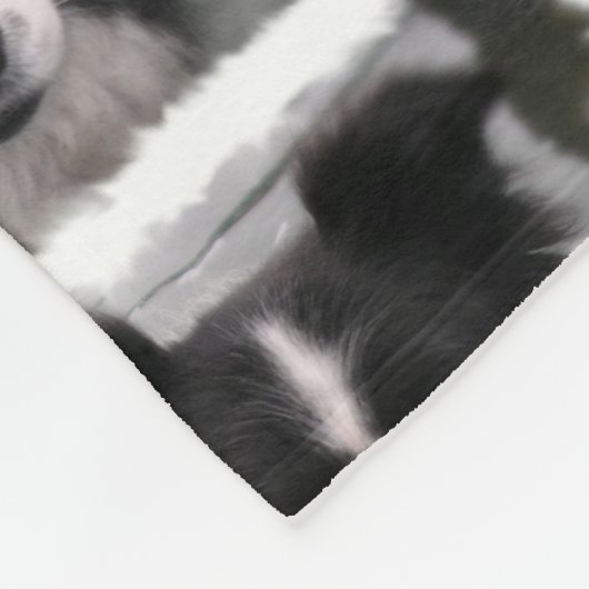 Border Collie Dog Fleece Deken (Hoek)