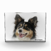 Border Collie Dog Fotoblokken (Voorkant)