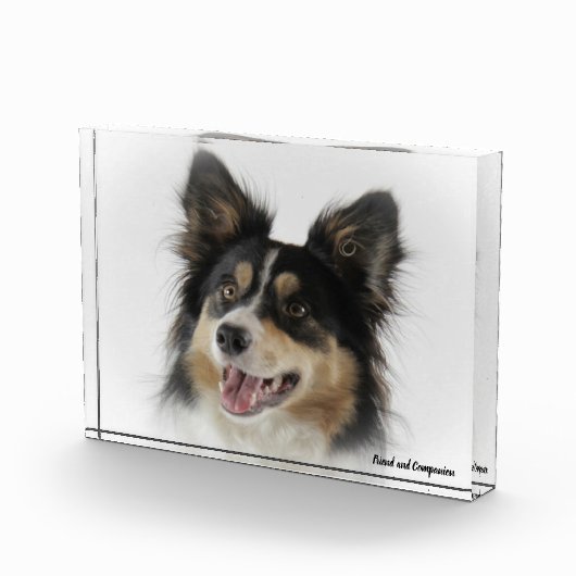 Border Collie Dog Fotoblokken (Rechts)