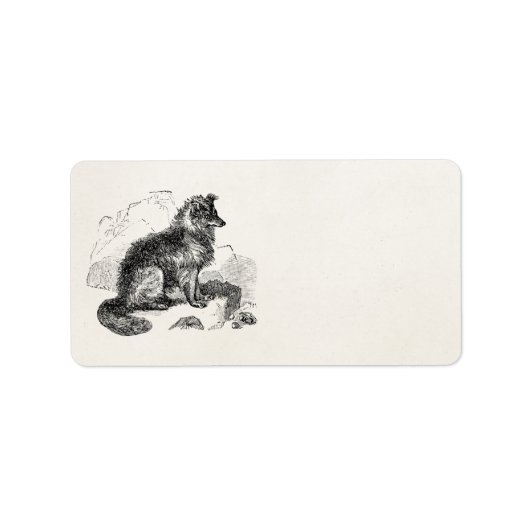 Border Collie Dog gepersonaliseerde retro honden Etiket (Voorkant)