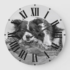 Border Collie Dog Grote Klok
