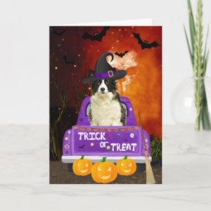 Border Collie Dog in Halloween Truck Kaart