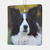 Border Collie Dog Keramisch Ornament (Links)
