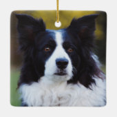 Border Collie Dog Keramisch Ornament (Achterkant)