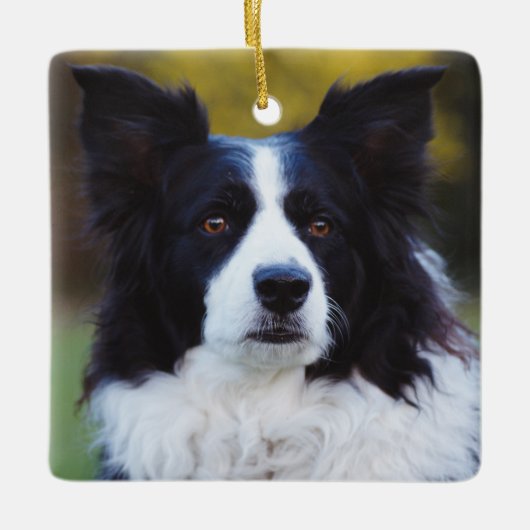 Border Collie Dog Keramisch Ornament (Voorkant)