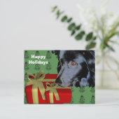 Border Collie Dog kerstfeestdag Briefkaart (Staand voorkant)