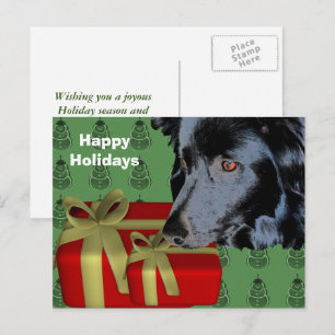 Border Collie Dog kerstfeestdag Briefkaart
