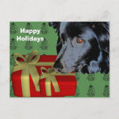 Border Collie Dog kerstfeestdag Briefkaart (Voorkant)