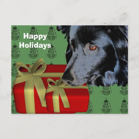 Border Collie Dog kerstfeestdag Briefkaart (Voorkant)