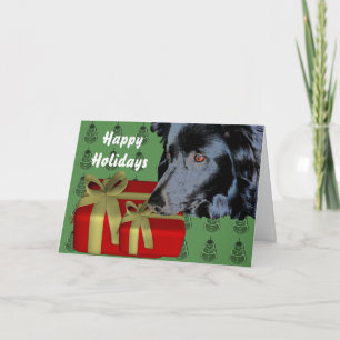 Border Collie Dog Kerstvakantie Kaart