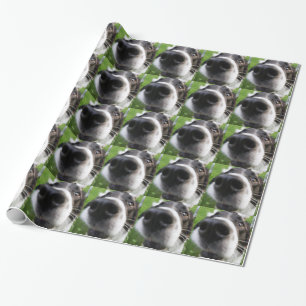 Border Collie Dog Nose Cadeaupapier
