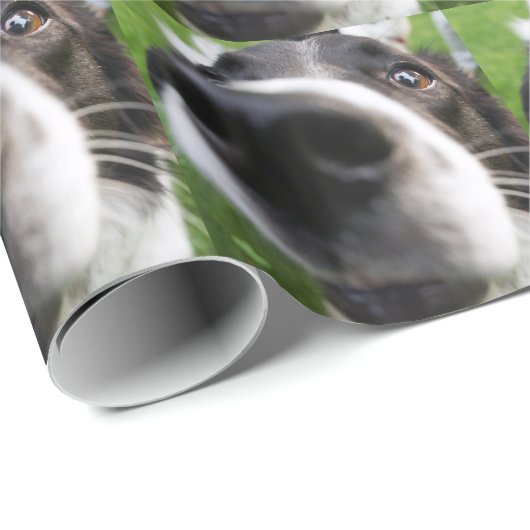 Border Collie Dog Nose Cadeaupapier (Rol Hoek)