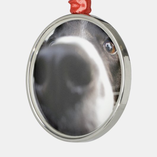 Border Collie Dog Nose kerstversiering Metalen Ornament (Links)