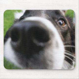 Border Collie Dog Nose Muismat