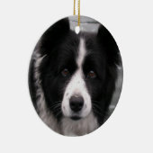Border Collie Dog Ornament (Rechts)