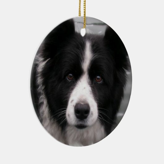 Border Collie Dog Ornament (Rechts)