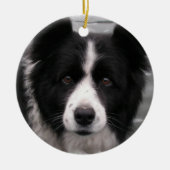 Border Collie Dog Ornament (Voorkant)