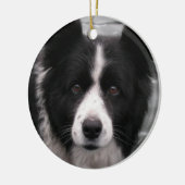 Border Collie Dog Ornament (Links)