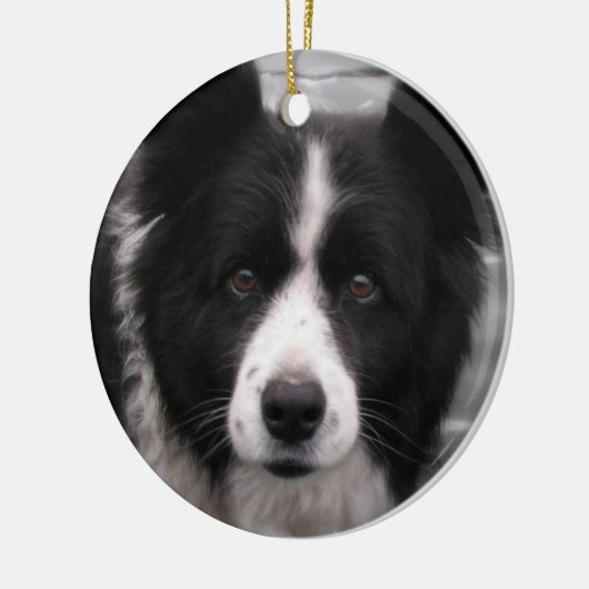 Border Collie Dog Ornament (Links)