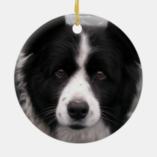 Border Collie Dog Ornament (Achterkant)