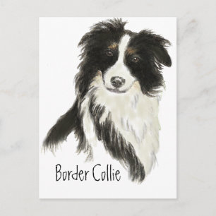 Border Collie Dog Pet Animal Briefkaart
