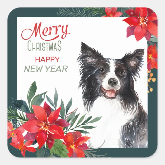 Border Collie Dog Poinsettia Bouquet Kerstmis Vierkante Sticker (Voorkant)