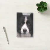Border Collie Dog Post-it® Notes (Kantoor)