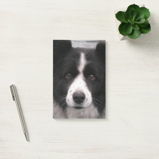 Border Collie Dog Post-it® Notes (Kantoor)