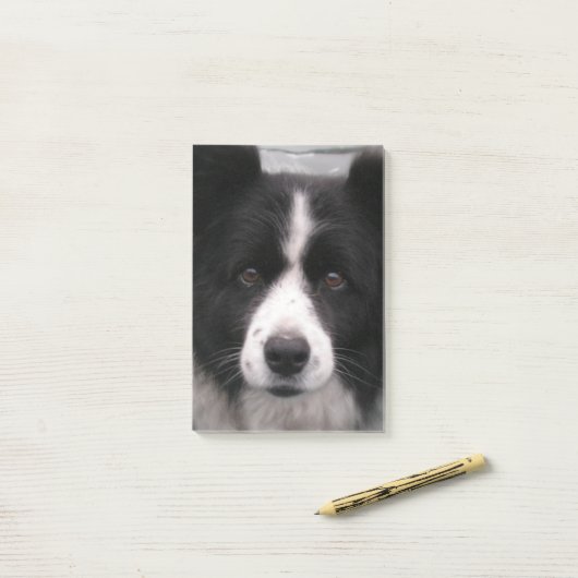 Border Collie Dog Post-it® Notes (Op bureau)