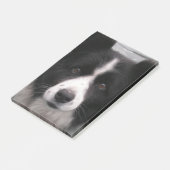 Border Collie Dog Post-it® Notes (Schuin)