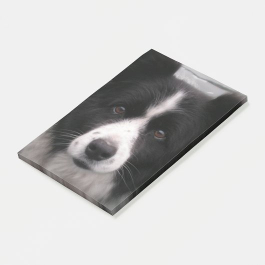 Border Collie Dog Post-it® Notes (Schuin)