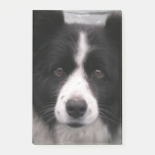 Border Collie Dog Post-it® Notes (Voorkant)