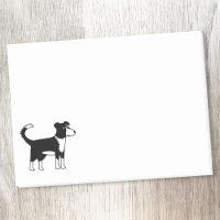 Border Collie Dog
