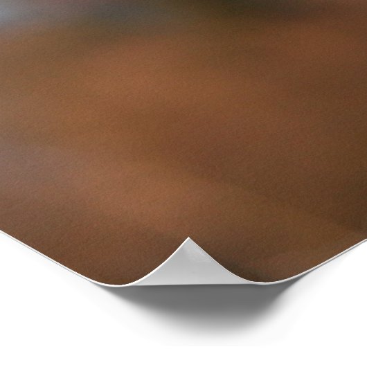 Border Collie Dog Poster (Hoek)