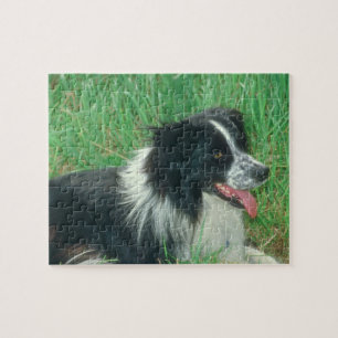 Border Collie Dog Puzzle Legpuzzel