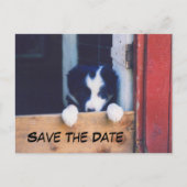 Border Collie Dog Save The Date Aankondigingskaart (Voorkant)