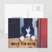 Border Collie Dog Save The Date Aankondigingskaart (Voorkant / Achterkant)