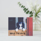 Border Collie Dog Save The Date Aankondigingskaart (Staand voorkant)