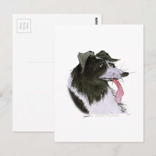 Border Collie dog, tony fernandes Briefkaart (Voorkant / Achterkant)