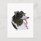 Border Collie dog, tony fernandes Briefkaart (Voorkant)
