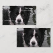 Border Collie Dog Visitekaartje (Voorkant / Achterkant)